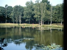 0DIA 1986 RAVAKAMP